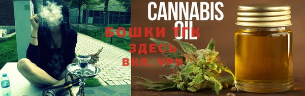 дживик Армянск