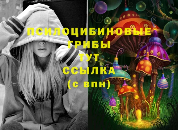 дживик Армянск