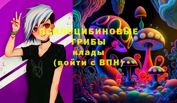 дживик Армянск